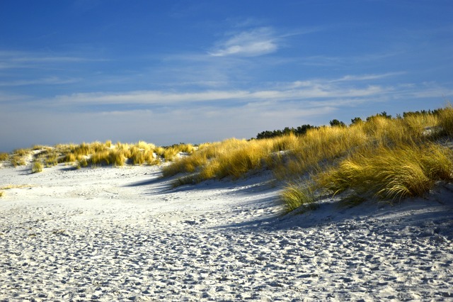 Dune Bashing and Quad Biking Dubai