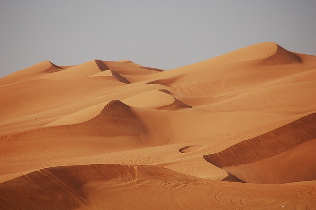 Dune Buggy Desert Dubai: Explore Dunes in Style with Secure Tours