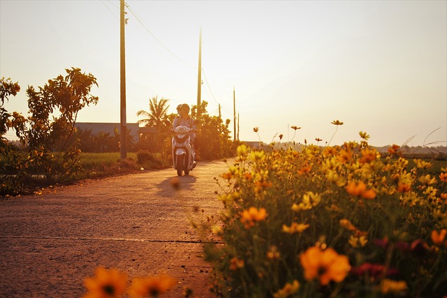 Dubai’s Desert After Dusk: Captivating Evening Dune Buggy Adventures