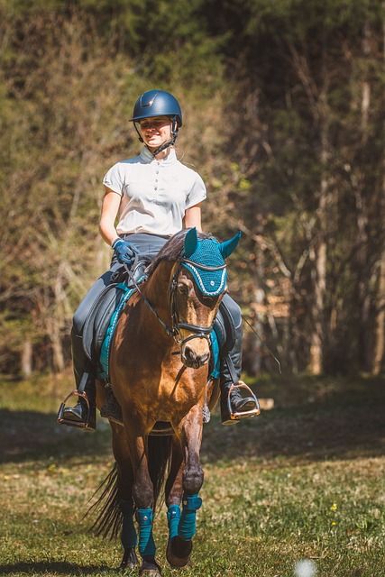 Evening Rides