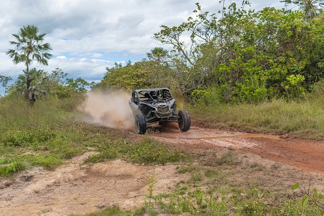 Discover Dubai’s Best Family-Friendly Buggy Trails: Safety and Scenic Adventures