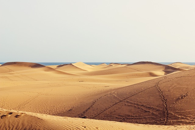 Dubai Desert Safari with BBQ Dinner: The Ultimate Friends’ Adventure