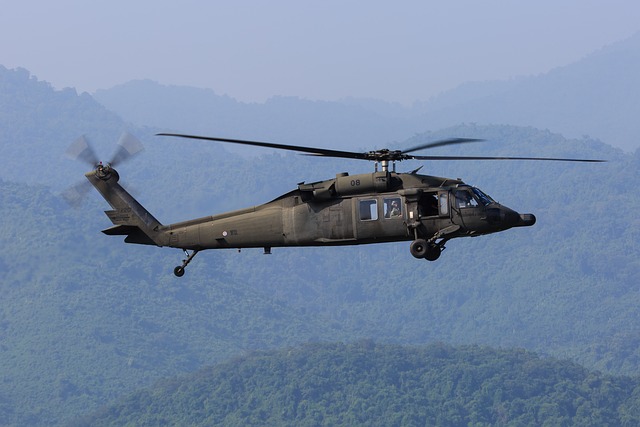 Helicopter Rides