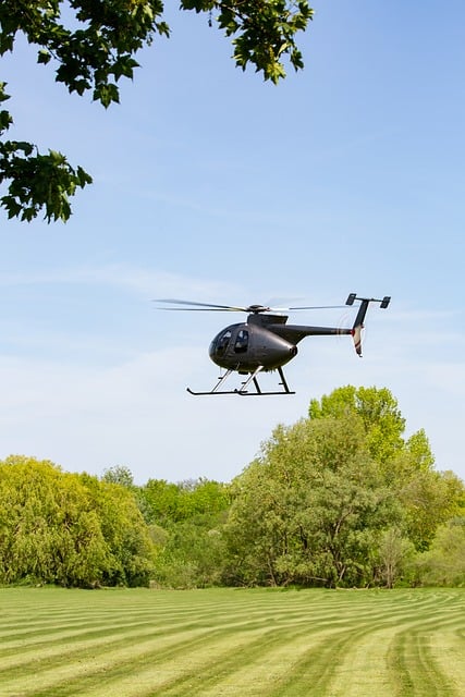 Helicopter Rides