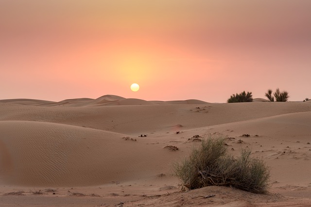 Guide: Seamlessly Book Dubai Desert Safari Near You