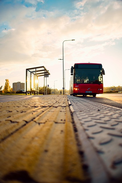 Luxury Bus