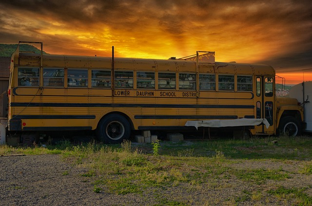 Luxury Bus
