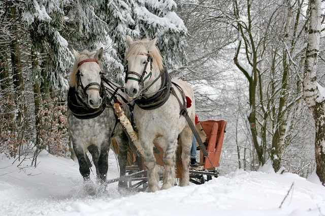 Luxury Rides