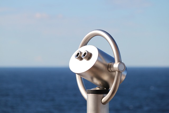 Marina Skyline Cruise