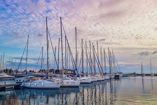 Marina Skyline Cruise