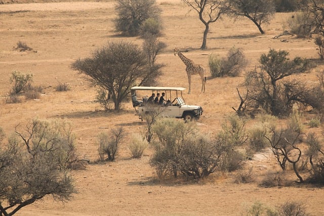 Quad Bike Desert Safari Dubai: An Adventure Guide