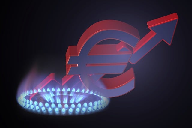 Rental Price