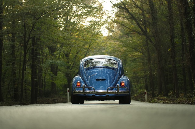 Romantic Trips