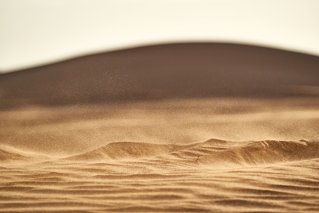 Sand Dune Quad Biking Dubai: An Extreme Adventure Unveiled