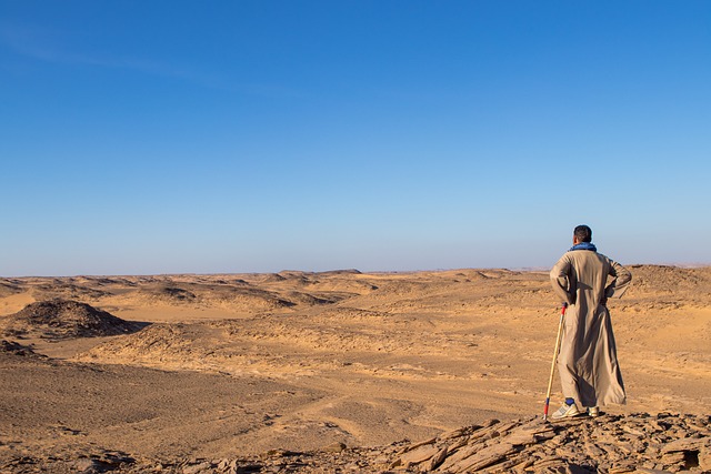 Ride the Golden Sands: Dubai’s Top Scenic Sand Dune Buggy Adventures