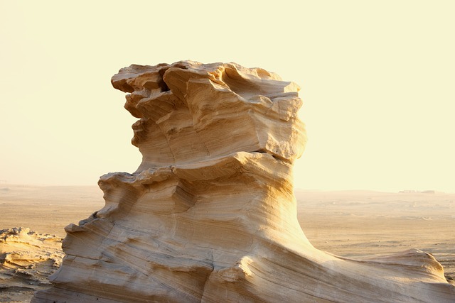 Scenic Abu Dhabi Tour