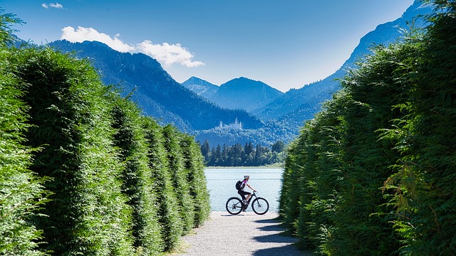 Scenic Tours