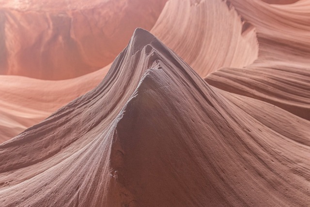 Scenic Tours