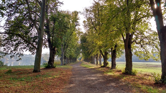 Scenic Trails