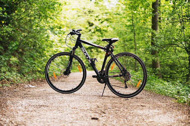 Self Drive Bike