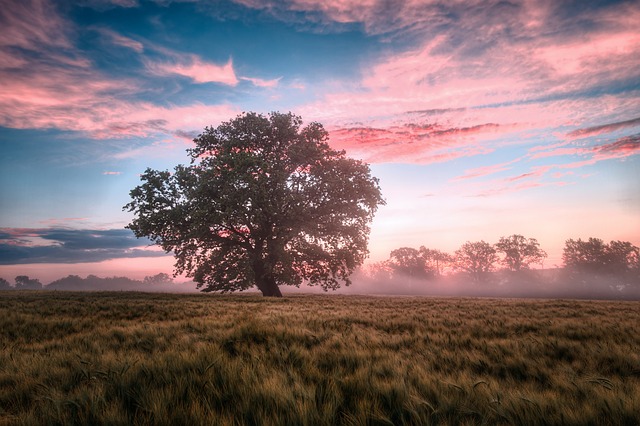 Sunrise Tours