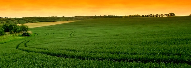 Sunrise Tours