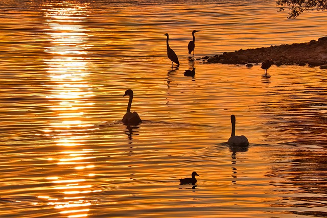 Sunrise Tours