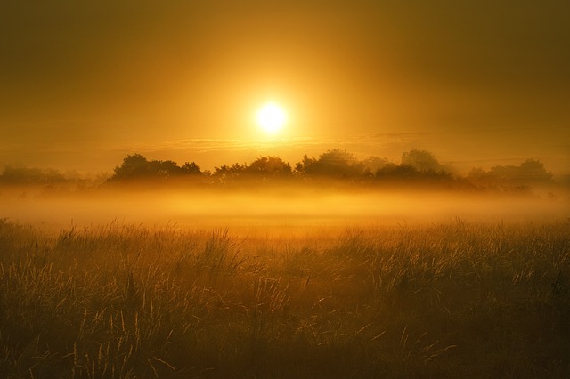 Sunrise Tours