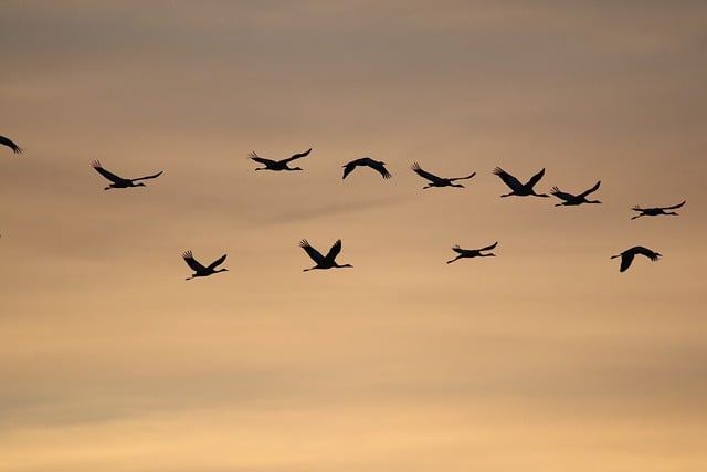 Sunrise Tours