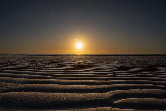 Sunrise Tours