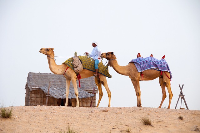 Team-Building Desert Safari Dubai