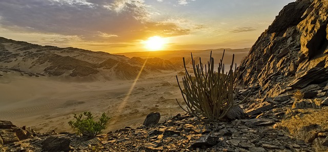 4x4 desert safari dubai