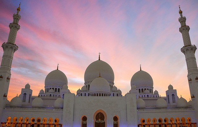 abu dhabi tour half day