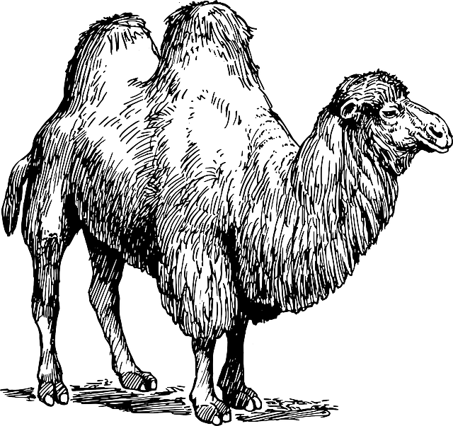 Arabian Ranches