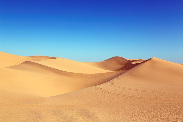 Best Dubai Desert Safari