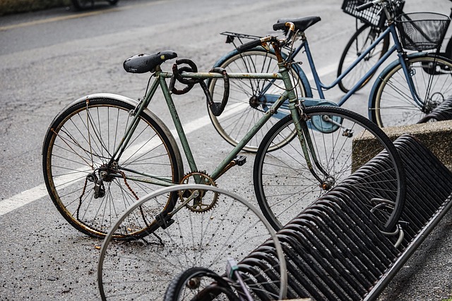 Bike Rentals