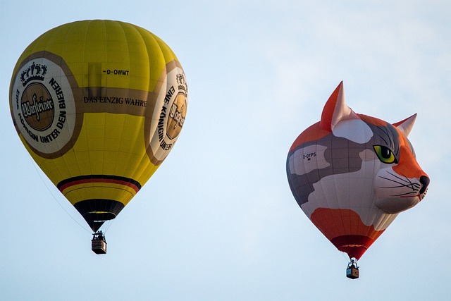 Birthday Party Hot Air Balloon Ride