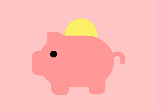 Budget Tours