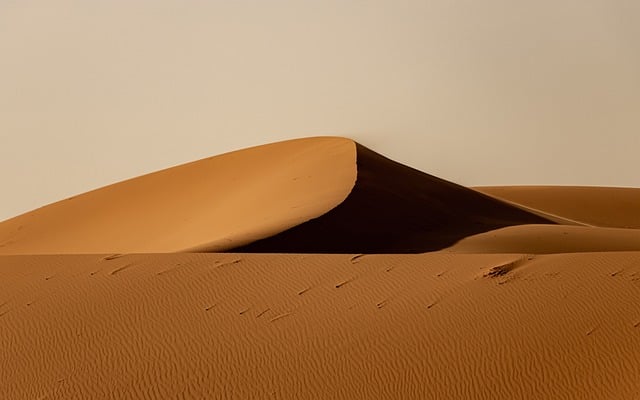 buggy desert