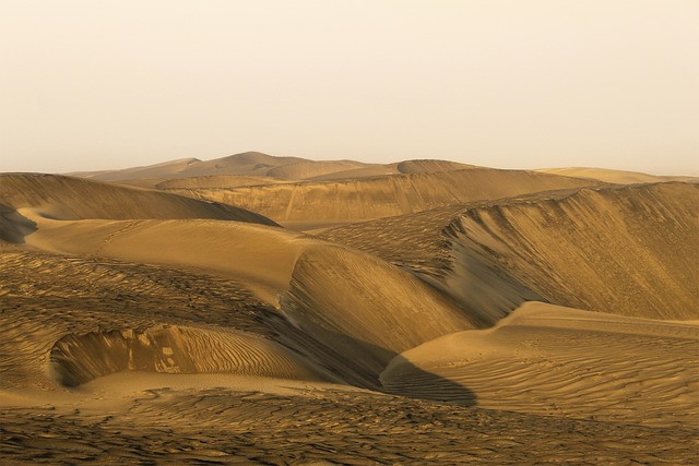 Reliable Desert Buggy Adventures: Navigating Dubai’s Sand with Expert Tours