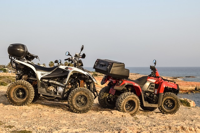 Buggy Rental UAE