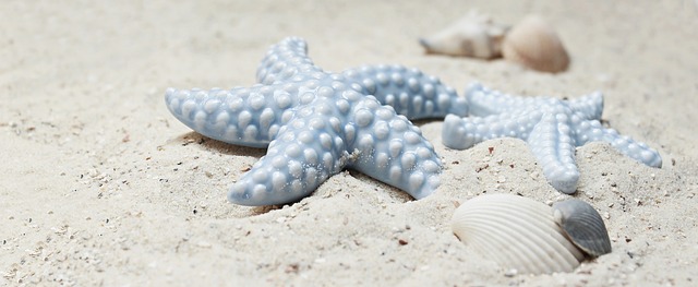 buggy sand