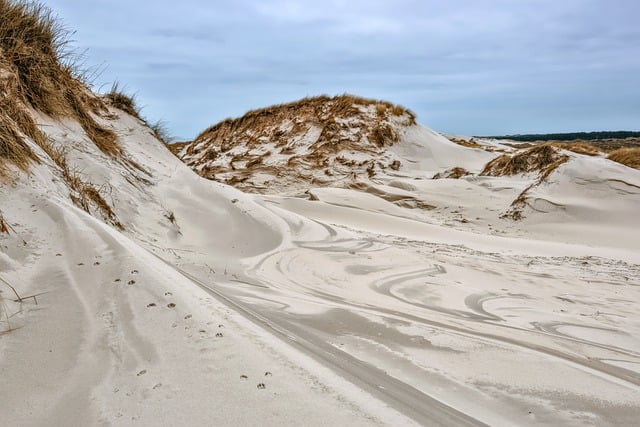 Buggy Sand Dunes Dubai: Unleash Excitement on Wheels