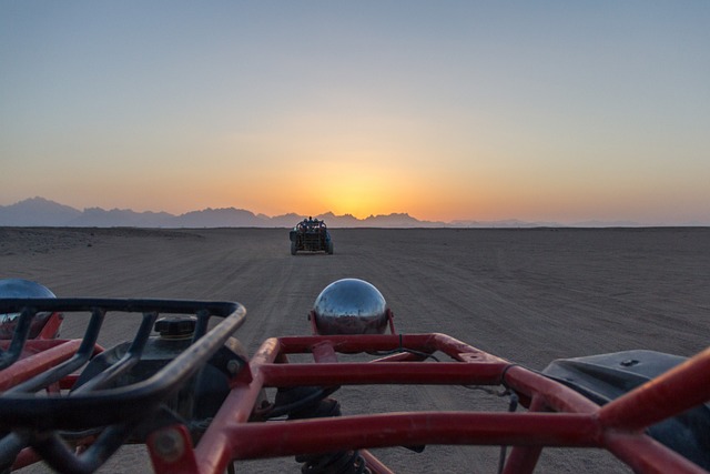 buggy tour