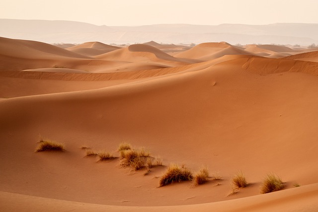 Dubai Desert Buggy Tours: Adrenaline-Fueled Adventures Await