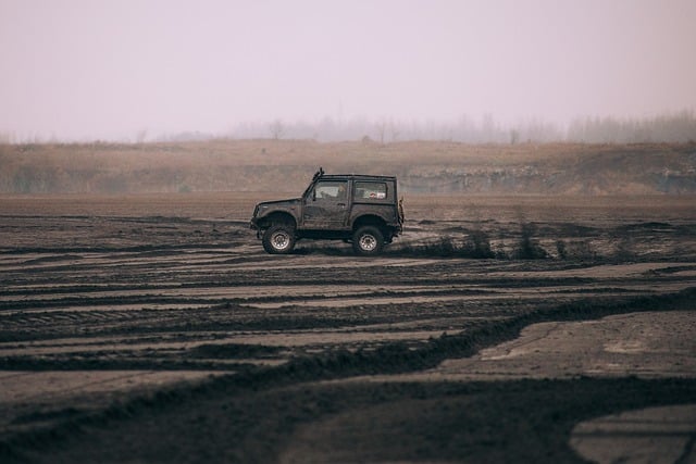 buggy tours