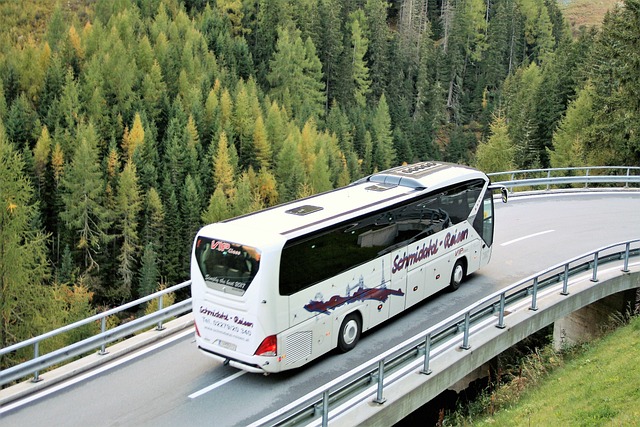 Bus Rental