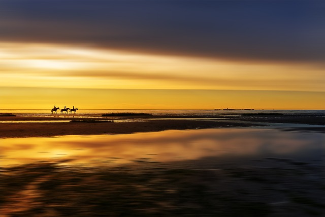 Camel Riding