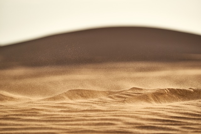 cheapest desert safari