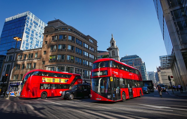 Coaster Bus